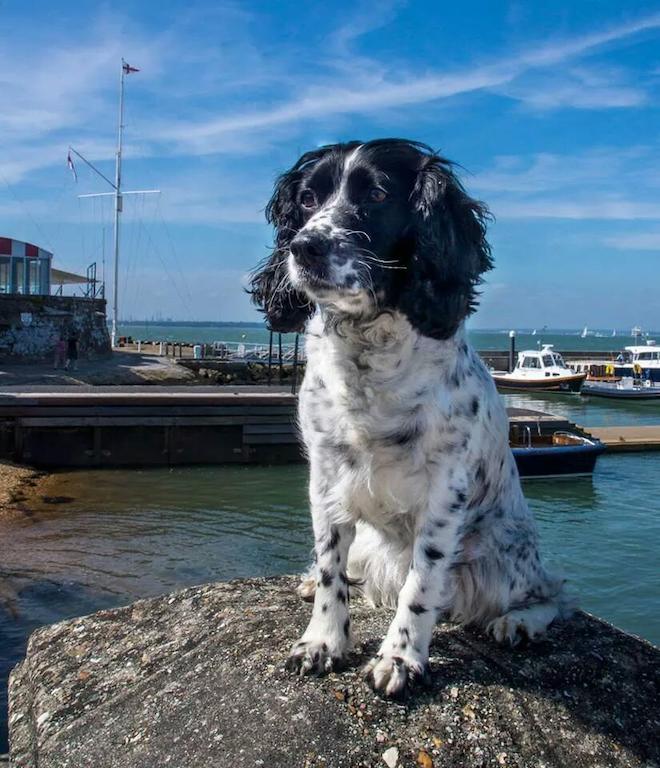 Gray'S Inn Cowes  Buitenkant foto